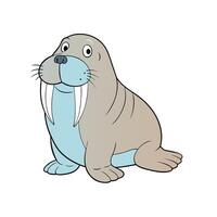 Cartoon walrus character with large tusks on white background vector