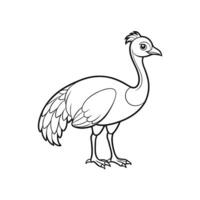 Outlined Cassowary Bird Illustration Standing in Profile View vector