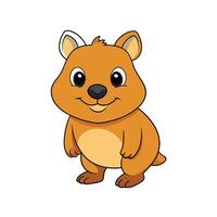 Cartoon quokka standing, front view, cheerful expression on white vector
