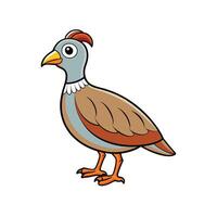 Cartoon partridge stands on a white background graphic vector