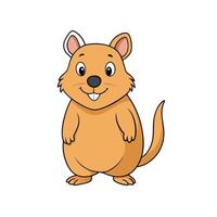 Cartoon quokka illustration standing upright with a happy expression vector