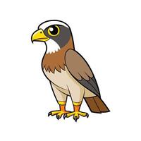 Cartoon illustration of a falcon standing upright looking left vector
