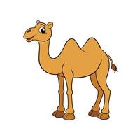 Cartoon camel character standing isolated on white background vector