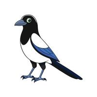 Cartoon magpie illustration standing on a white background vector