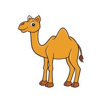 Cartoon camel illustration with friendly smiling face design element vector