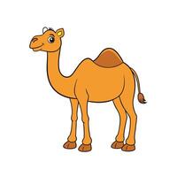A full body cartoon camel, smiling, on a plain white backdrop. Cheerful, flat design. vector