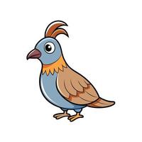 Cartoon quail illustration with bold outlines on white background vector