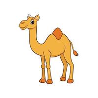 Cartoon camel with one hump standing side profile view vector