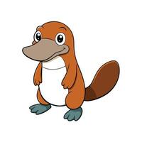 Cartoon platypus illustration standing isolated on a white background vector
