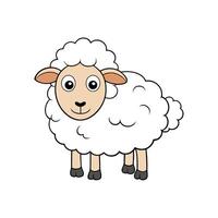 Cartoon sheep character standing, happy and fluffy illustration vector