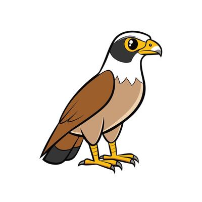 Cartoon falcon illustration standing isolated on a white background