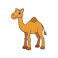 Cartoon camel character standing on white background looking happy vector