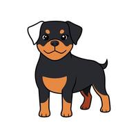 Cartoon rottweiler puppy standing, isolated on a white background vector