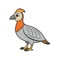 Cartoon partridge illustration with soft colors and distinct outline vector