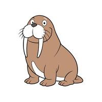 Cute cartoon walrus illustration with big tusks and whiskers vector