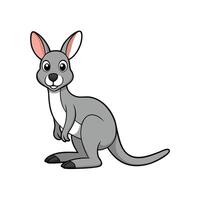 Cartoon kangaroo standing, isolated on white background illustration vector