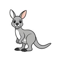 Cartoon kangaroo illustration with friendly expression on white background vector