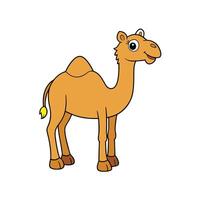 Cartoon Camel Standing Profile Isolated on White Background vector