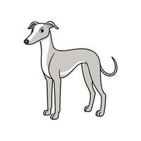 Elegant greyhound standing tall in a cartoon style illustration vector