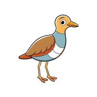 Cartoon partridge illustration standing on white background looking right vector