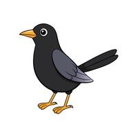 Cartoon blackbird illustration standing isolated on a white background vector