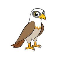 Cartoon hawk illustration with bold outlines and simple design vector