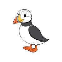 Cartoon atlantic puffin graphic on isolated white background vector
