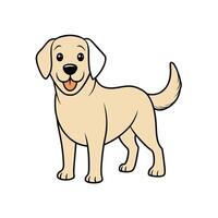 Cartoon Labrador Retriever Standing Isolated on White Background vector