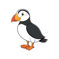 Cartoon illustration of Atlantic puffin in format vector