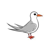 Cartoon Illustration of a Cute Tern Bird Standing Upright vector