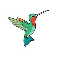 Cartoon hummingbird hovering with wings spread on white background vector