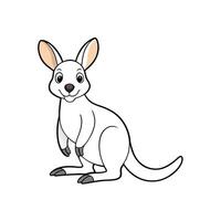 Cartoon kangaroo illustration on white background standing and smiling vector