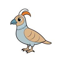 Cartoon partridge with feathery crest on a white background vector