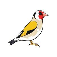Colorful goldfinch bird illustration with simple and clean design vector