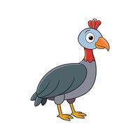 Cartoon Guinea Fowl Illustration on White Background Stock Image vector