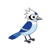 Cartoon blue jay illustration with simple design and outline vector