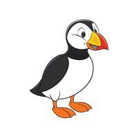 Cartoon Atlantic Puffin with Colorful Beak on White Background vector