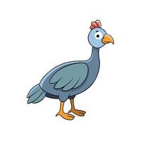 Cartoon Guinea Fowl Standing Isolated on White Background vector