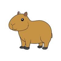 Cartoon capybara illustration standing isolated on a white background vector