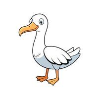 Cartoon seagull illustration standing in a full body view vector