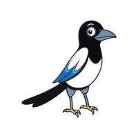 Cartoon magpie bird standing isolated on a white background vector