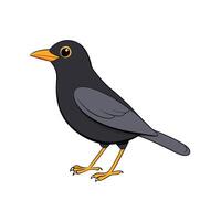 Cartoon blackbird illustration standing on white background isolated image vector