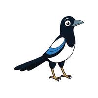 Cartoon magpie illustration standing isolated on a white background vector