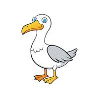 Cartoon seagull standing with a smile in illustration vector