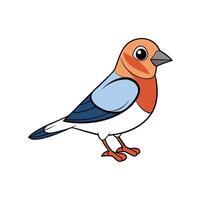 Cartoon Robin Illustration A Simple and Colorful Bird Design vector