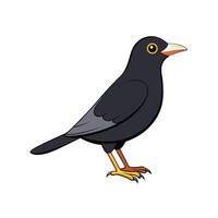 Cartoon blackbird standing profile with bright yellow beak and legs vector