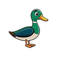 Cartoon duck illustration standing on white background in side view vector
