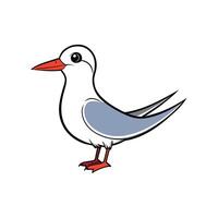 Cute cartoon tern bird illustration standing on white background vector