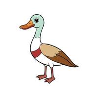Cartoon Duck with Colorful Plumage Standing on White Background vector