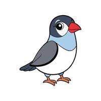 Cartoon Java Sparrow Character Illustration on White Background vector